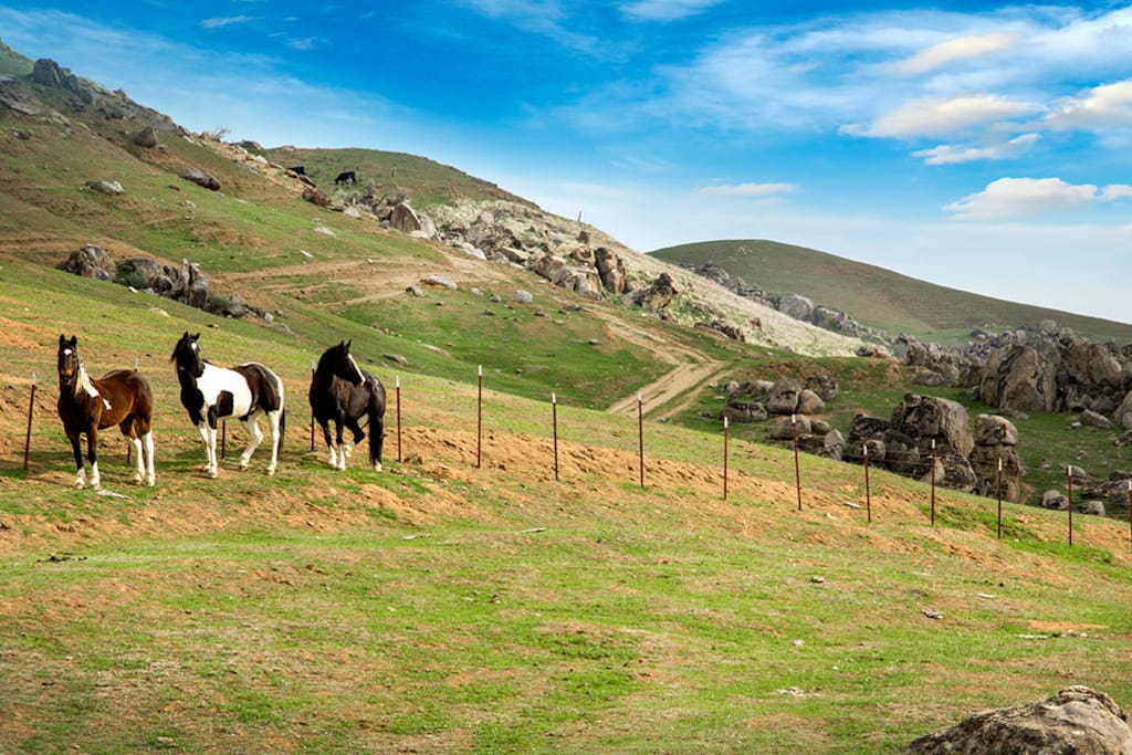 Looking down from the pasture on the country walk