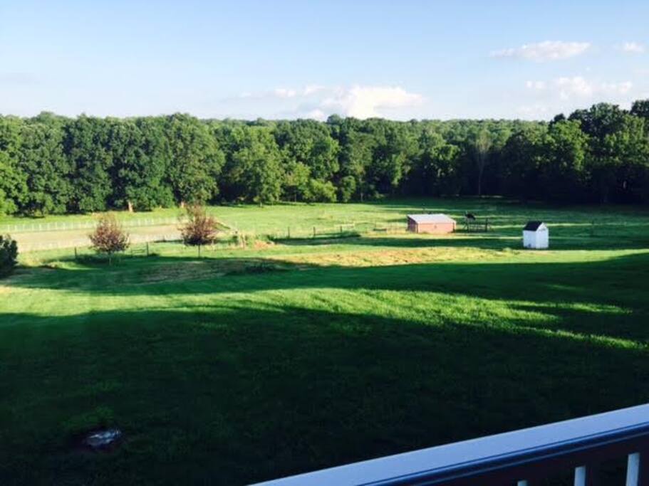 Gorgeous Pastoral Views