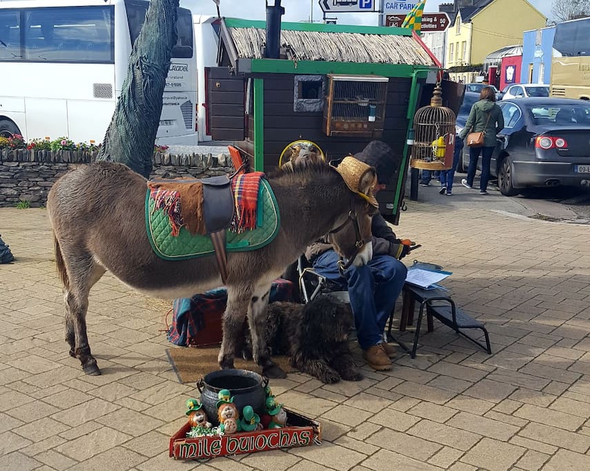 This little man is part of the culture in Dingle