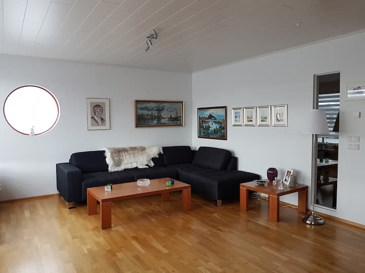 Reykjavík Bright apartment, good location Houses for Rent in
