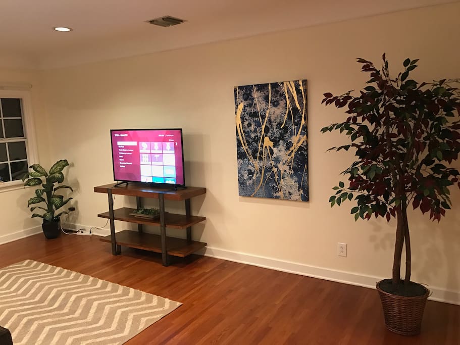 55" Roku TV + Netflix Logged in