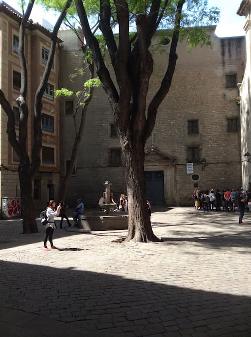 pl sant felip neri