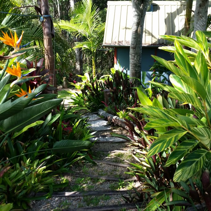 Steps down to cabin makes it a really private spot.