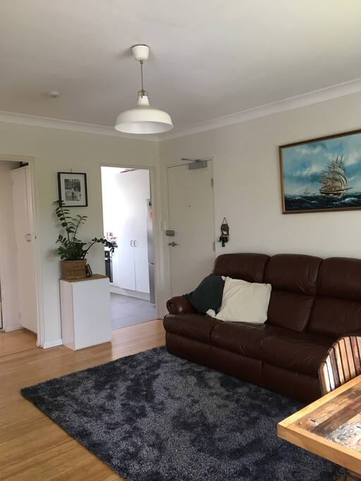 Comfy leather couch and soft as ever rug!