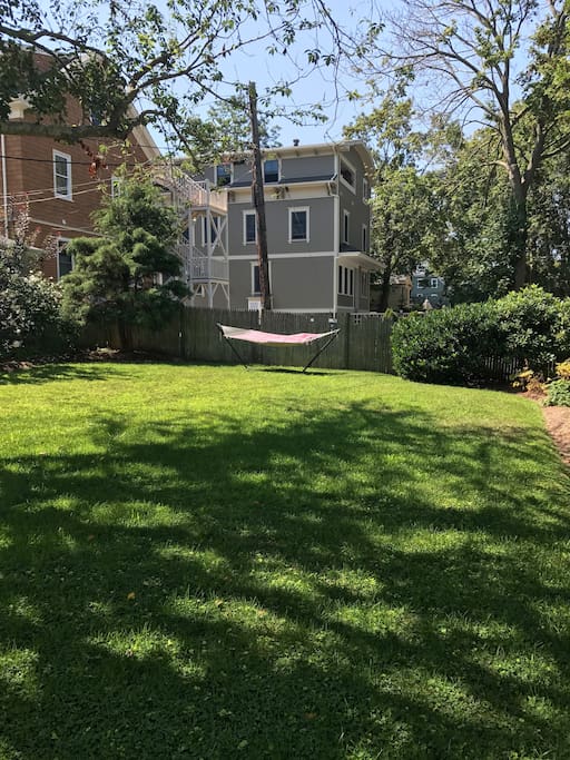 Back Yard