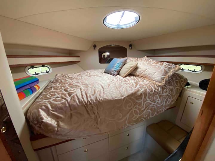 Štátna miestnosť Forward