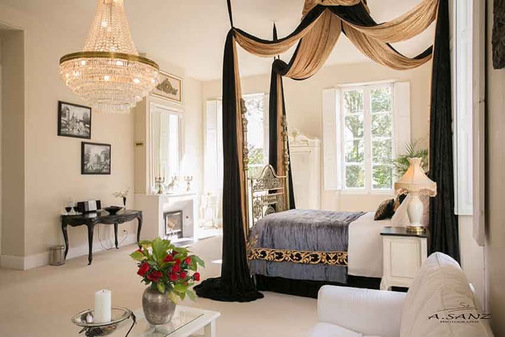 Luxurious Master Bedroom