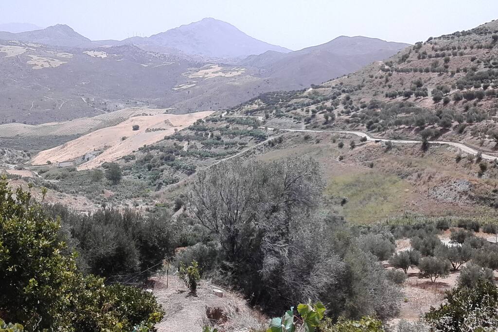 ΑΠΡΟΣΚΟΠΤΗ ΘΕΑ
