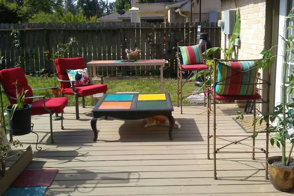relaxing large backyard ...room for kids to play