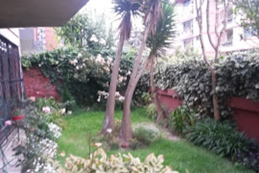 Jardín