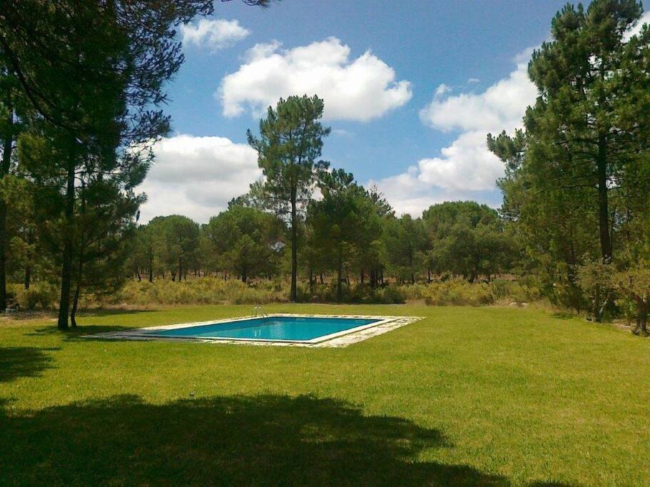 View from the living room. Big garden with private swimming pool