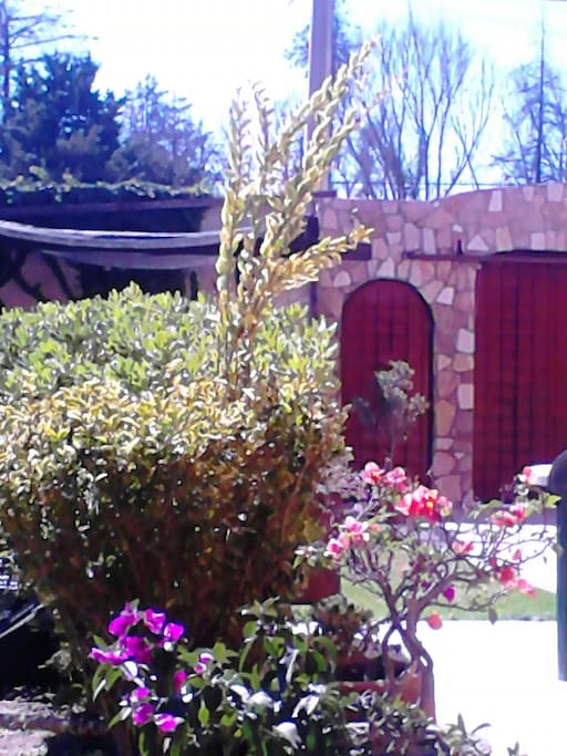 Parte del jardín de la casa