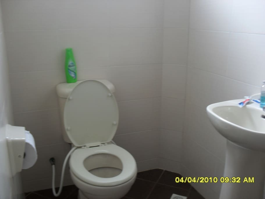 Guest bathroom