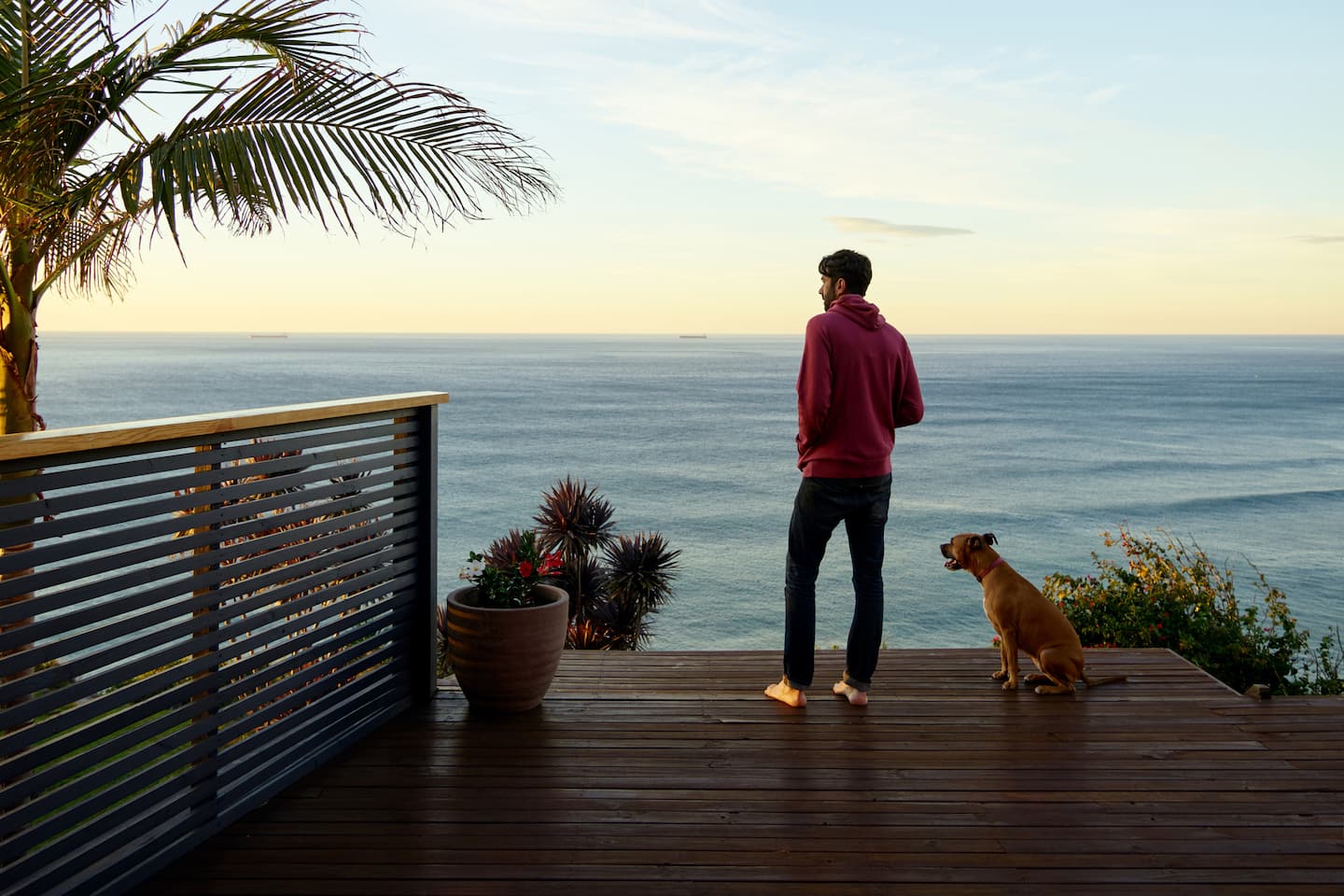 Petfriendly beach rentals in the United States Airbnb