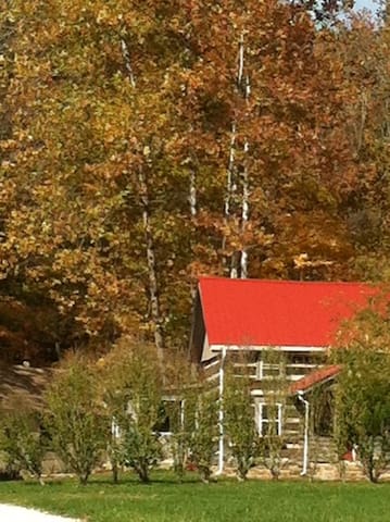 Bella Woods