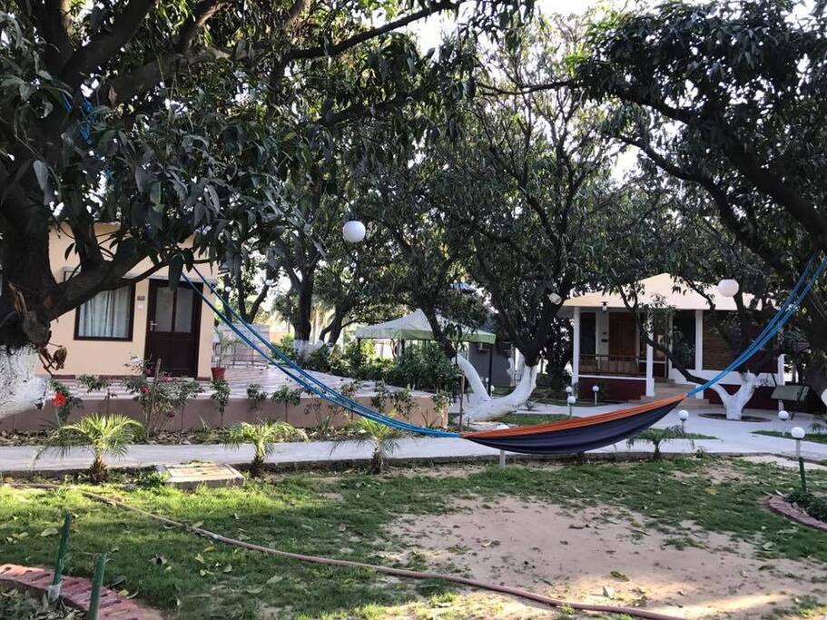 hammock