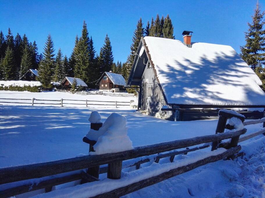 Winter fairytale.