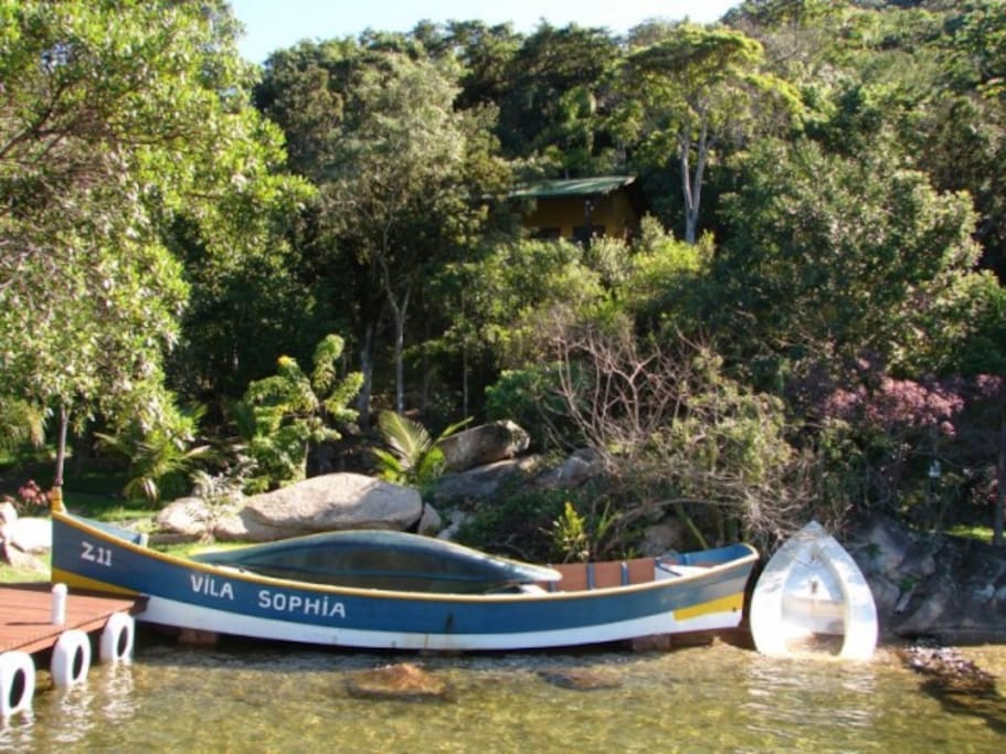 Vista frontal