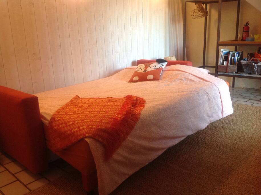 Canapé lit convertible 2 places, linge de lit, couette et oreillers fournis, cintres.