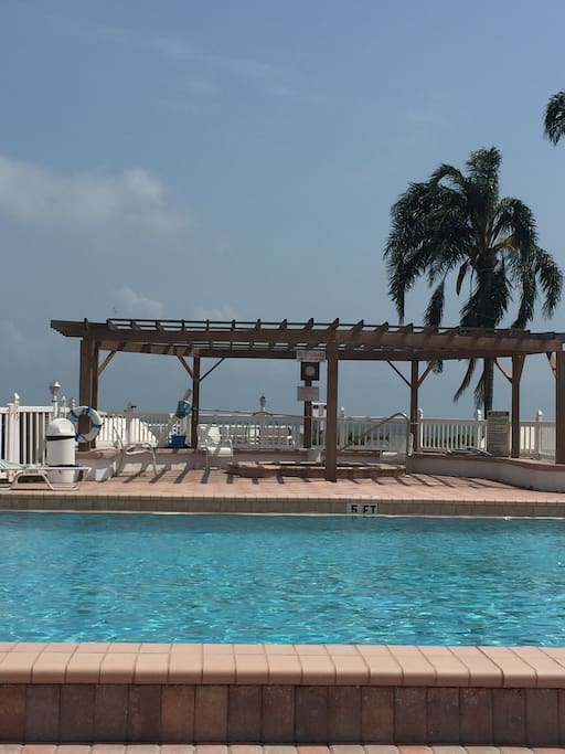 Large private pool on the Boca Ciega Bay