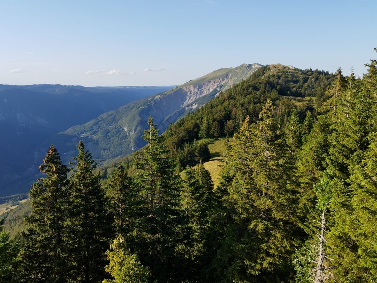 A panoramic view of rolling green hills is surrounded by dense coniferous forests. The mountainous terrain rises in the background, with gentle slopes leading to rocky peaks under a clear blue sky. The natural landscape provides a serene and expansive outlook.