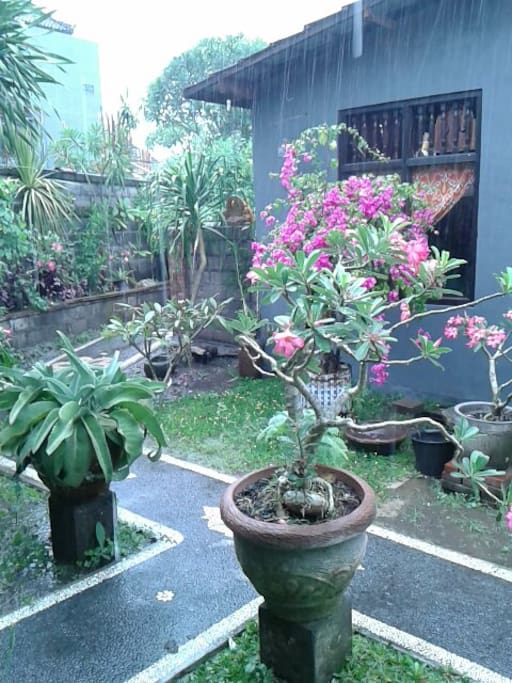 A beautiful garden right outside home.