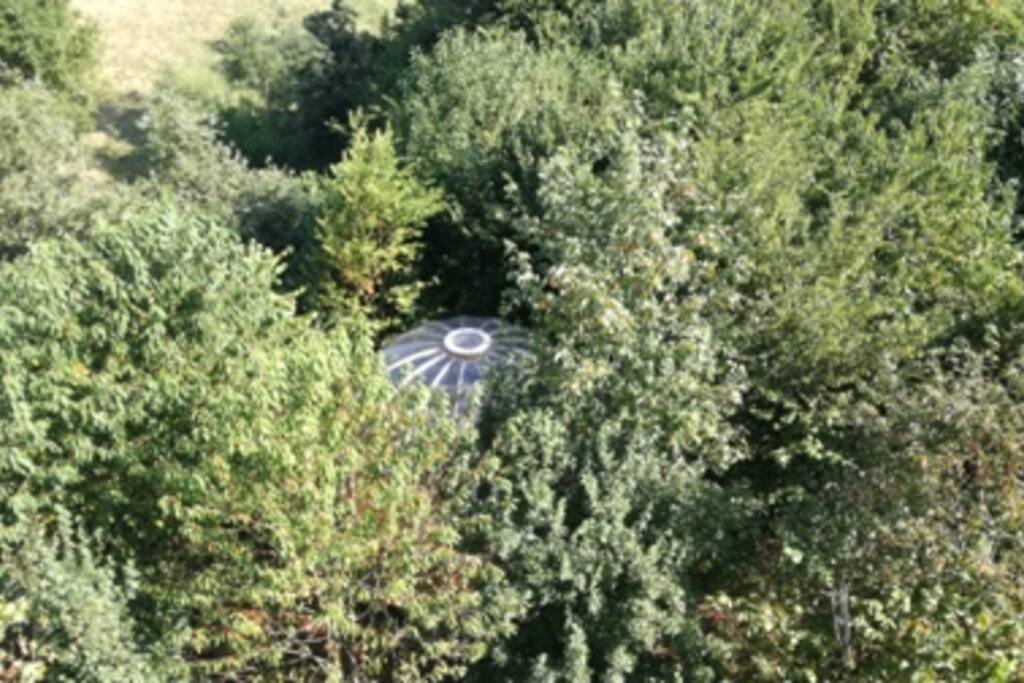 la bulle dans son écrin de verdure