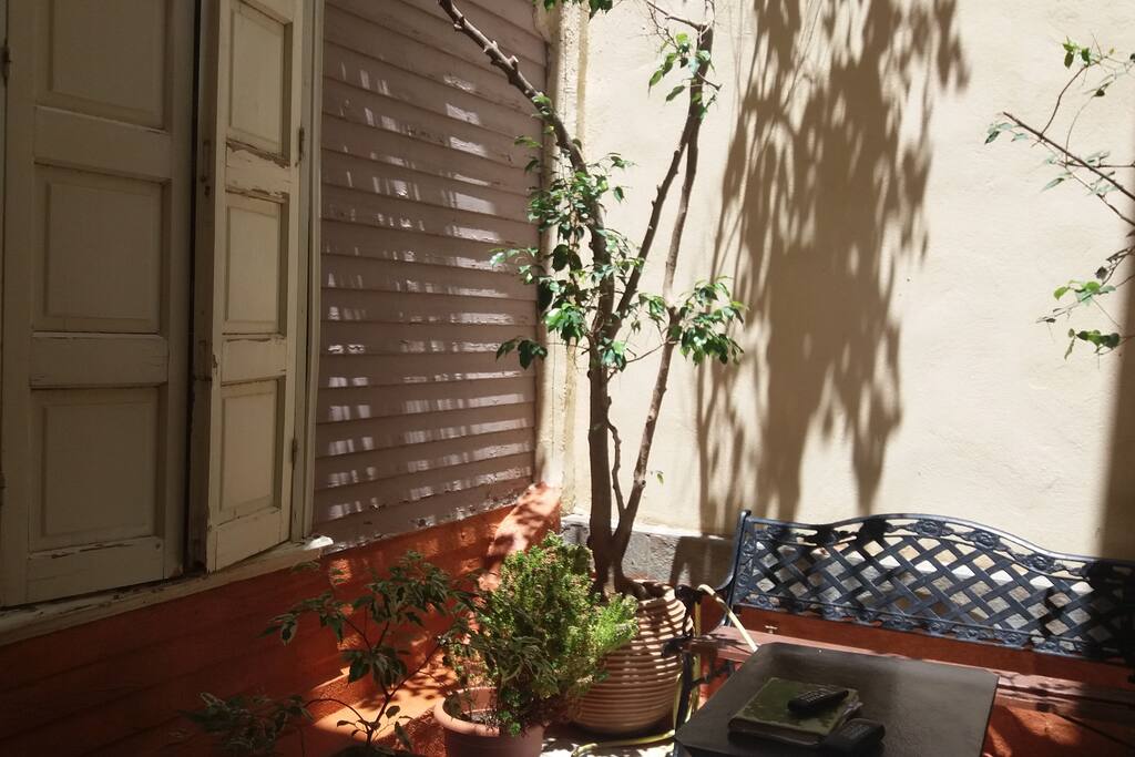 OPEN GARDEN 1ST FLOOR