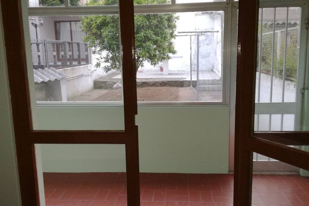Garden with orange tree