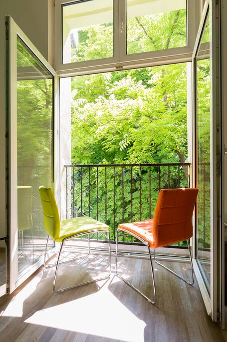 France balcony with inner yard view ,big tree and birds song