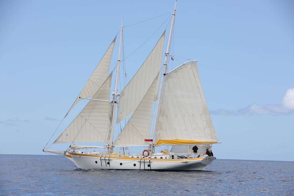 Help us trim the sails.