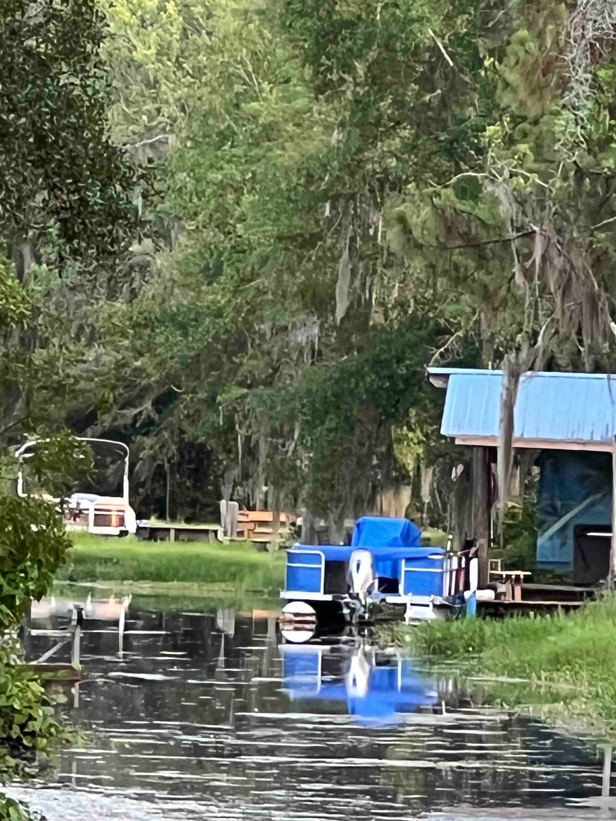 A serene canal is depicted, surrounded by lush green trees draped with Spanish moss. A covered boat slip can be seen, with a boat parked nearby. Reflections of the greenery ripple gently across the water's surface, highlighting the tranquil environment.