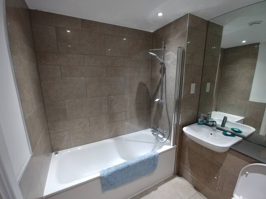 Guest bathroom