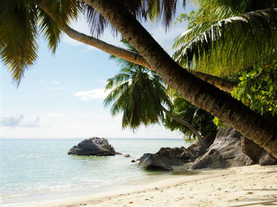 Our beautiful beach...