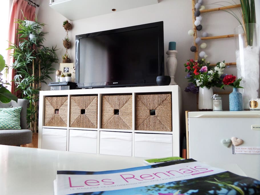 Appartement lumineux et chaleureux avec tous nos meilleurs conseils pour un super weekend Rennais !