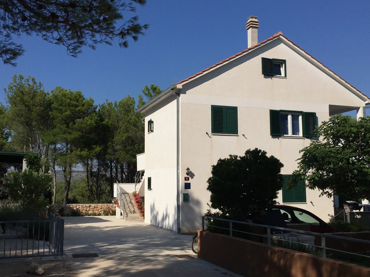 A well-maintained two-story building is set amidst a pine forest, featuring white walls and green shutters. A gravel path leads to the entrance, alongside a manicured garden. The surrounding trees provide shade and a serene atmosphere, contributing to the peaceful setting near the sea.