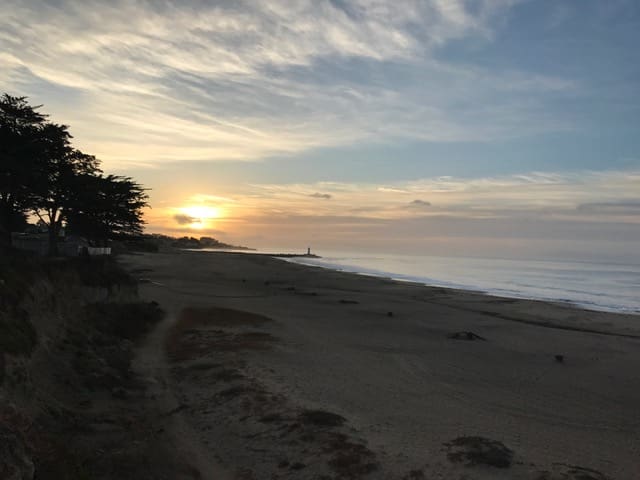 Sleeping in Seabright