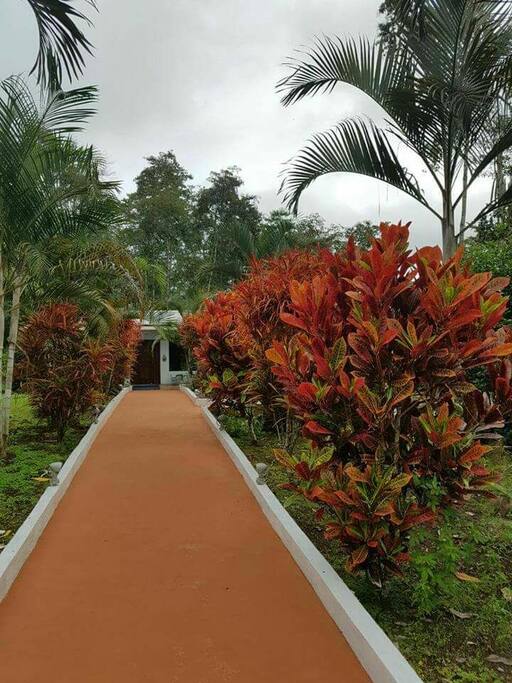 Ambiente natural