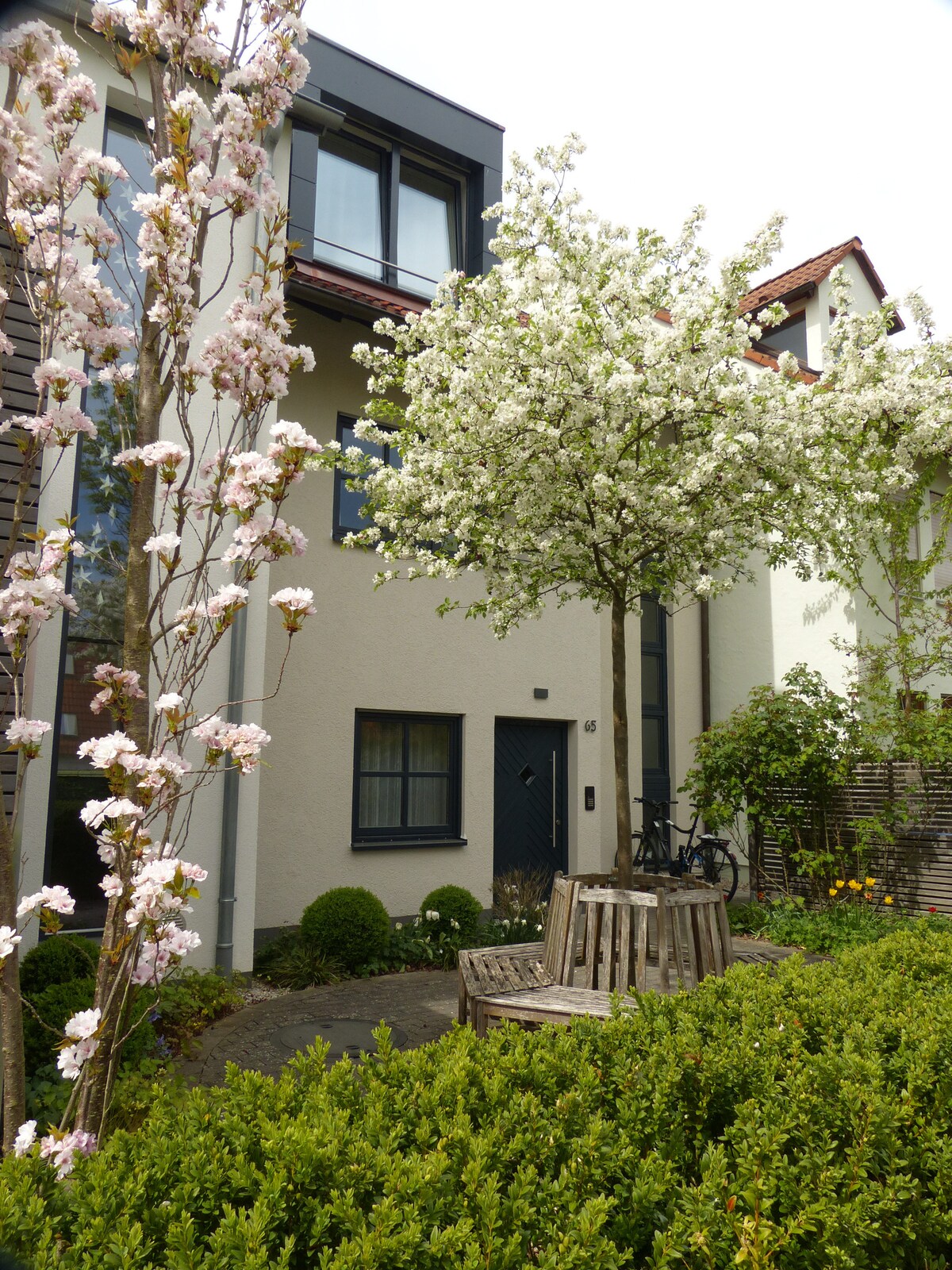 A charming outdoor space features a flowering tree and blooming bushes, creating a serene garden atmosphere. A wooden seating area is provided beneath the tree, surrounded by neatly trimmed hedges. The entrance to the building can be seen in the background, framed by the vibrant landscape.
