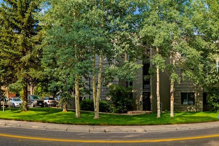 Studio Condo in the Heart of Aspen!