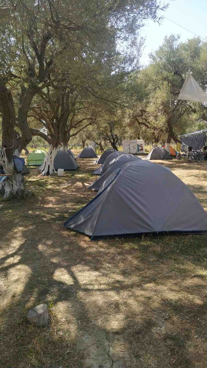 Campsite accommodation