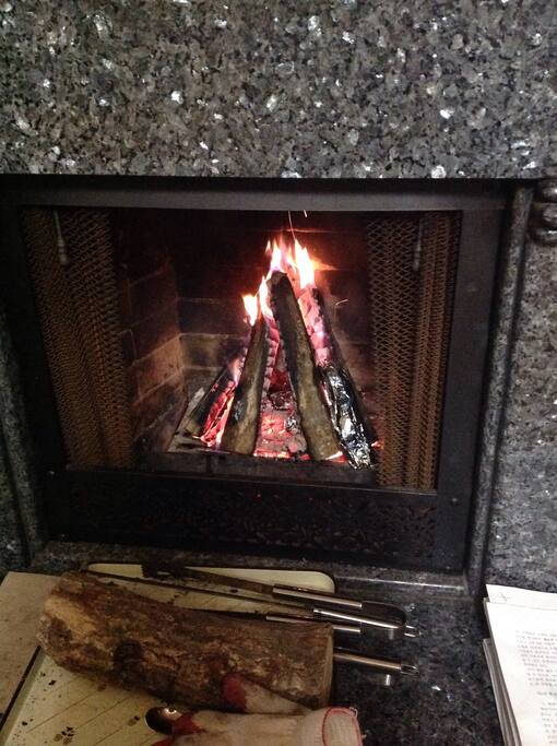 Fireplace at Winter