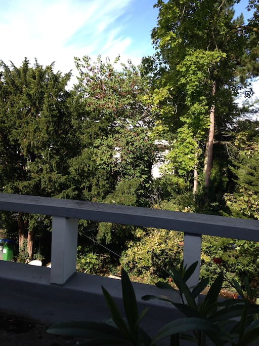 Vue en partie de la terrasse