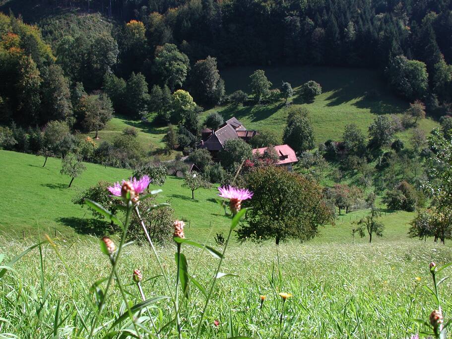 die idyllische Lages des Hofes