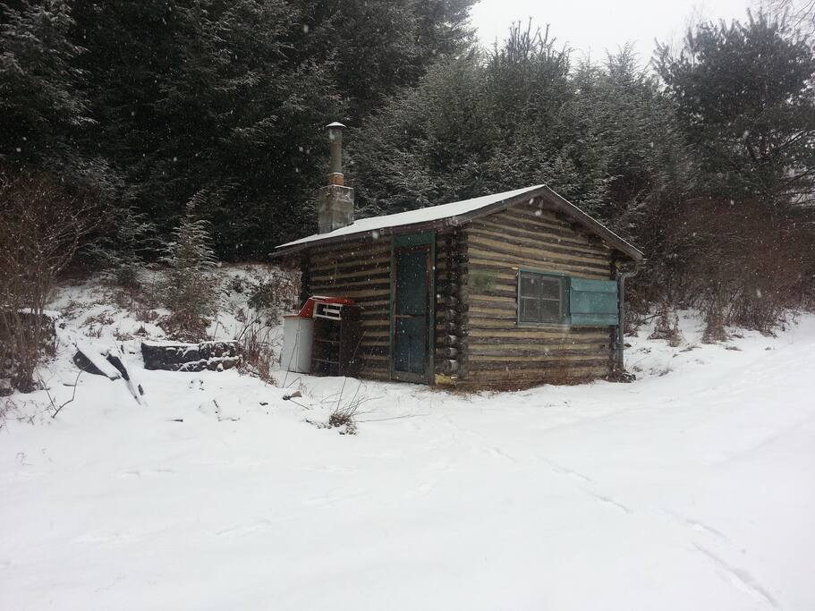 On Walden Pond! Tiny houses for Rent in Forestburgh, New York, United