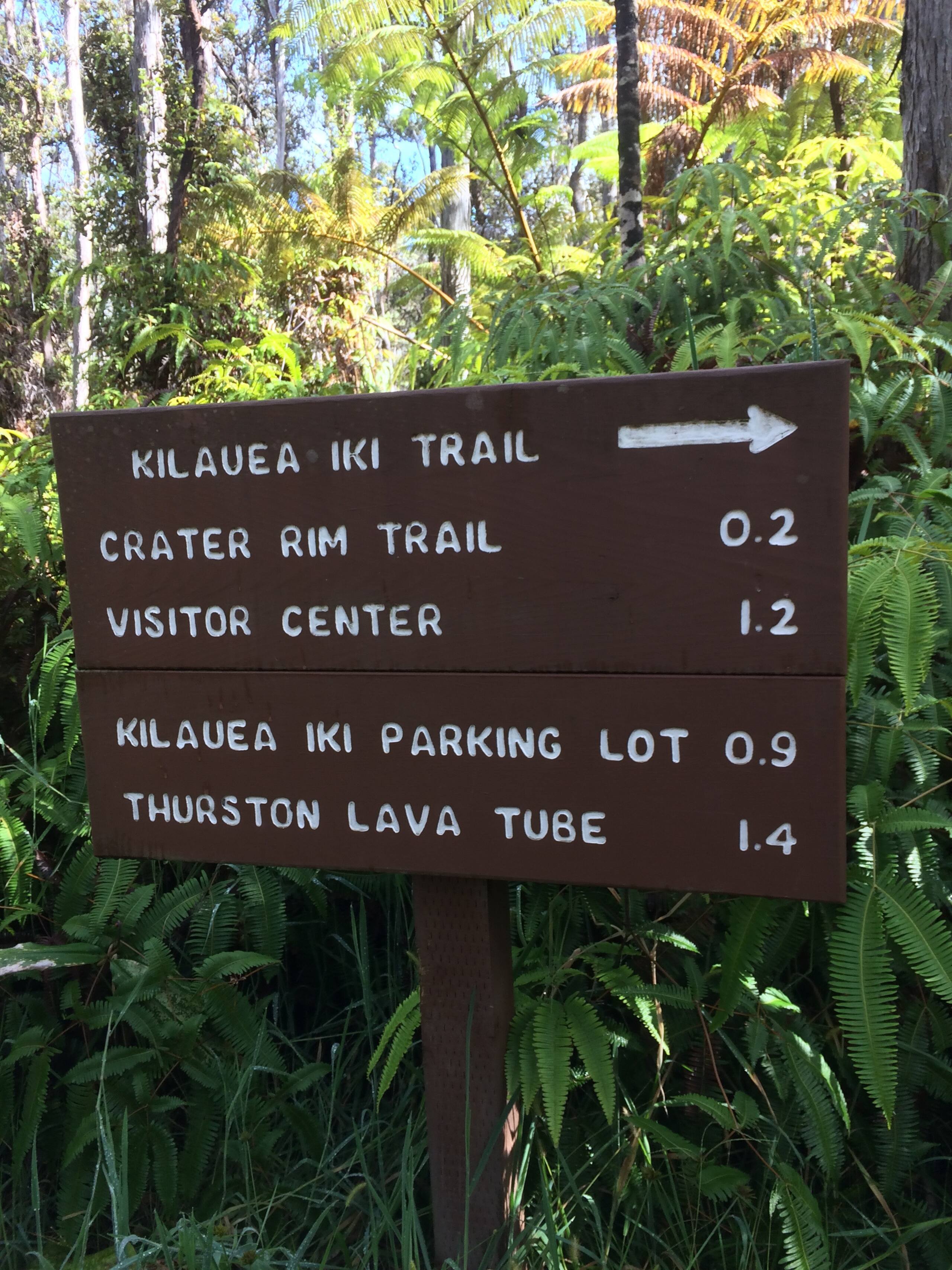Explorer's Bungalow - Explore Volcanoes NP! - Photo 39
