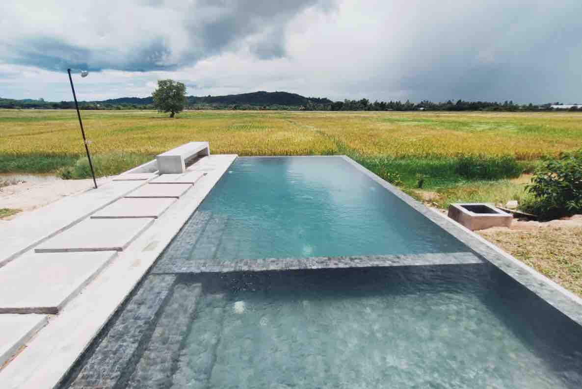An infinity pool appears to blend with the lush paddy fields beyond. The pool's edge features a smooth grey stone rim. Surrounding areas are landscaped with flat stones leading towards the pool, enhancing the tranquil view of the green and golden fields.
