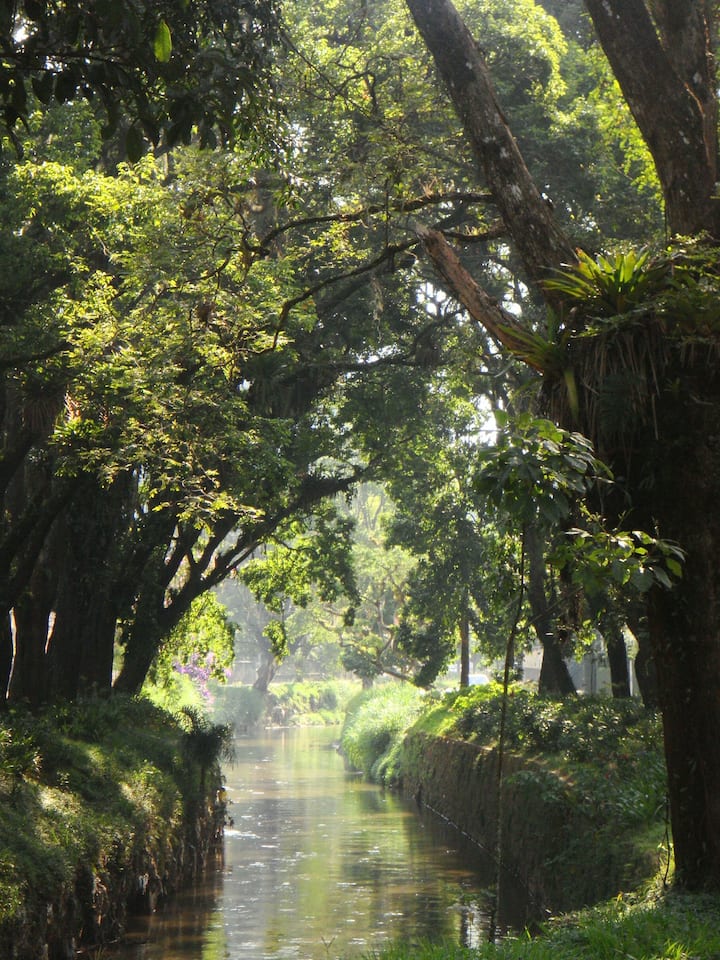 მისაღები სივრცე
