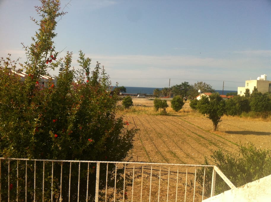 50 mt to the sea