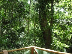 Nature+Retreat%2FQuepos%2FManuel+Antonio